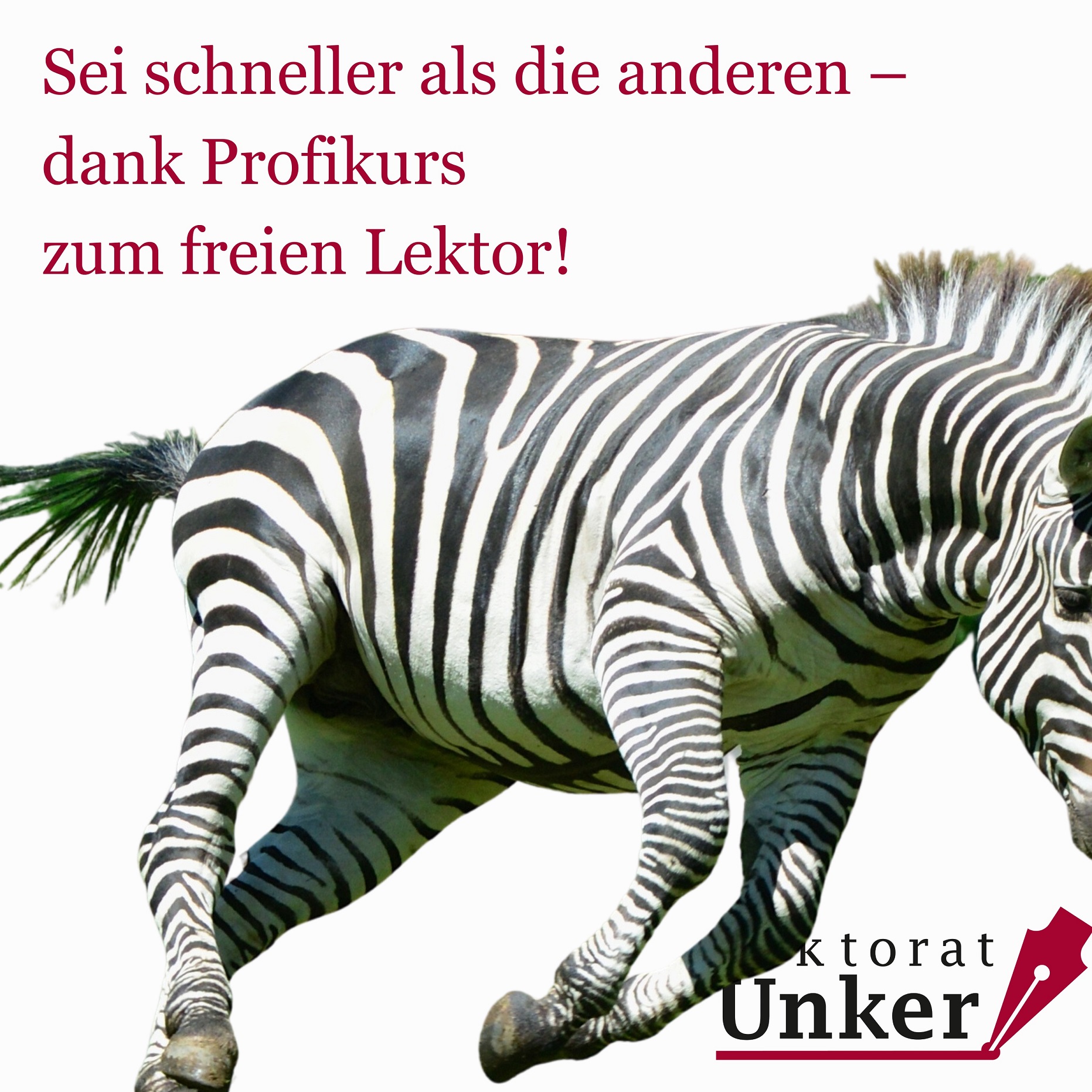 Zebra – sei schneller als die anderen mit dem Profikurs freies Lektorat.